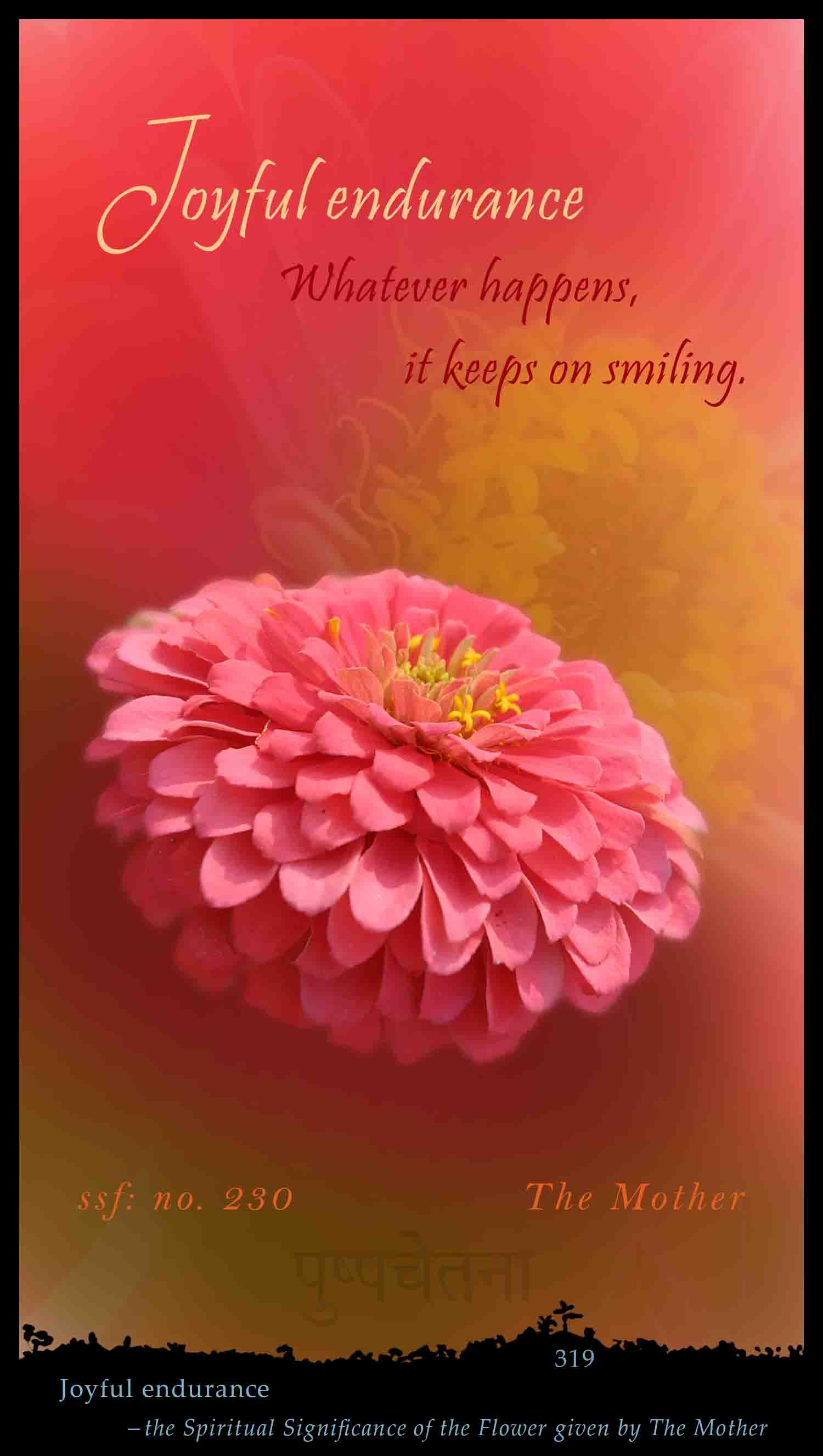 Joyful Endurance